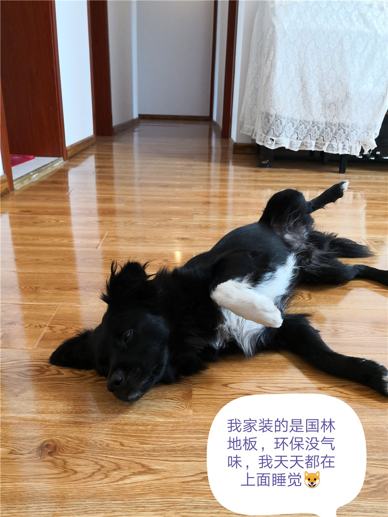 long8唯一官网登录